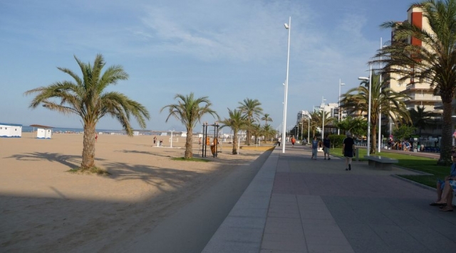  想象一下骑着 bicibirra 沿着海滩行驶 